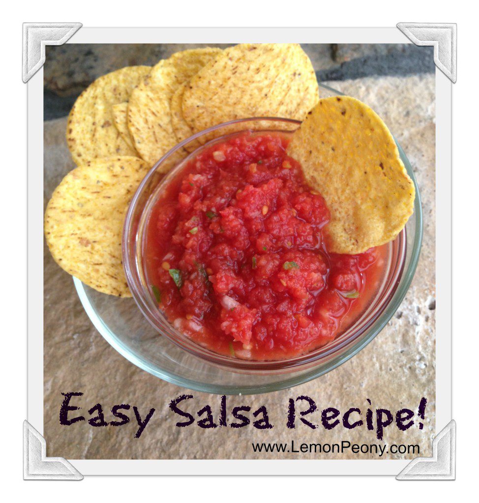 Easy Salsa Recipe