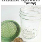 How to Grow Alfalfa Sprouts in 3 Days
