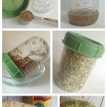 How to Make Alfalfa Sprouts