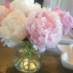 Beautiful Peony Flowers