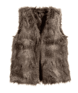 Brown Fur Vest