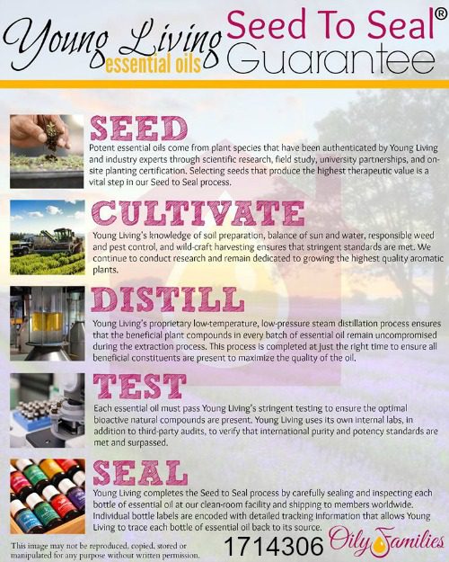 Young Living Growing Process