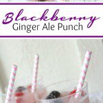 Blackberry Ginger Ale Punch Recipe