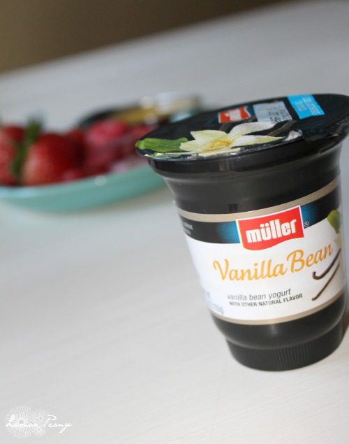 vanilla bean yogurt