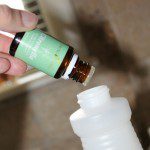 Homemade Bug Spray All Natural Recipe