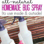 Homemade Bug Spray Recipe