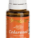 Cedarwood Essential Oil