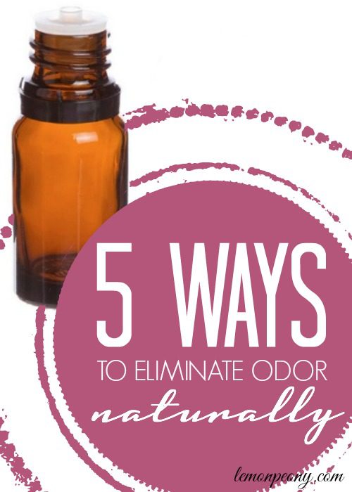 5 Ways to Eliminate Odors Naturally
