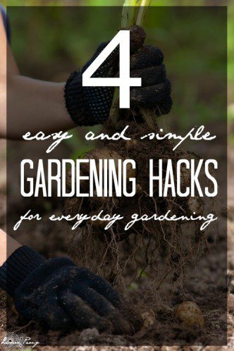 Simple Gardening Hacks and Tools Easy