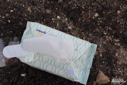 Cottenelle Cleansing Cloths