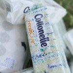 Cottonelle Fresh Care Cleansing Cloths