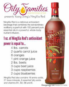 NingXia Red Smoothie Recipe!