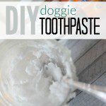 DIY Doggie Toothpaste