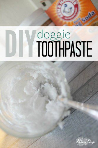 DIY Doggie Toothpaste 332x498 