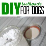 DIY Toothpaste for Dogs