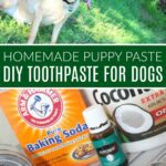 Homemade Puppy Paste