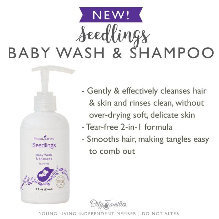 Seedlings Body Wash and Shampoo