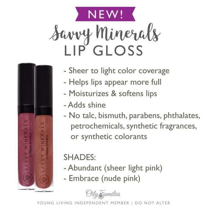 Savvy Minerals Lip Gloss