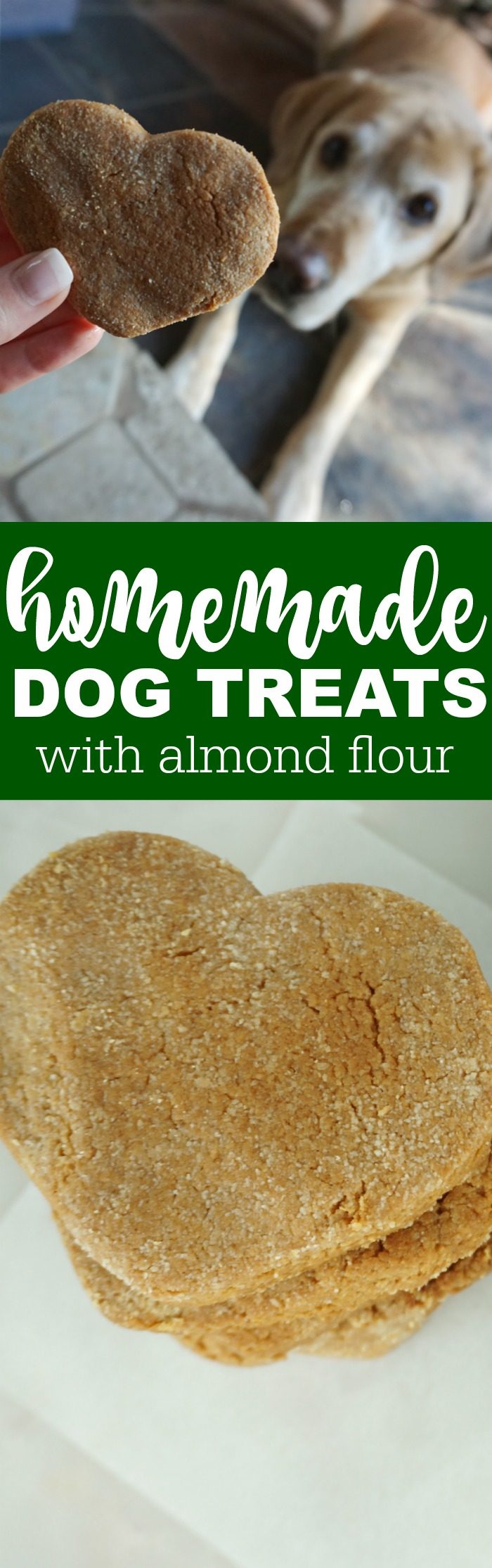 Homemade Dog Treats with Almond Flour! Healthy treats for your pups that they will love! DIY And Easy to make at home with only 5 Simple Ingredients!