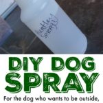Easy DIY Dog Spray