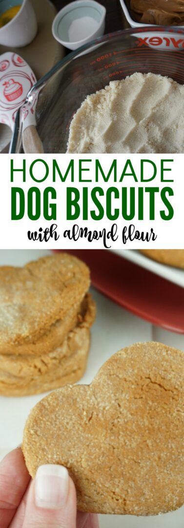 Homemade Dog Treats with Almond Flour! Healthy treats for your pups that they will love! DIY And Easy to make at home with only 5 Simple Ingredients! 