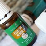 Eucalyptus Globulus Essential Oil