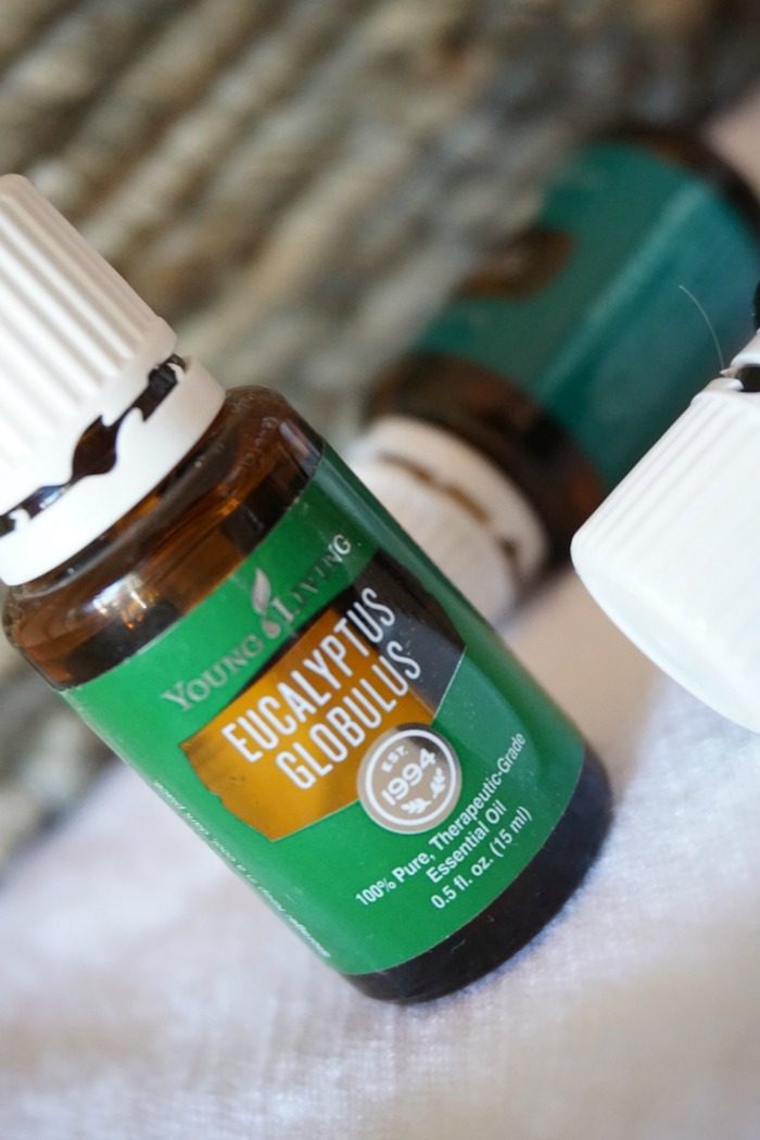 Eucalyptus Globulus Essential Oil