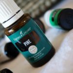 Pine Essential Oil