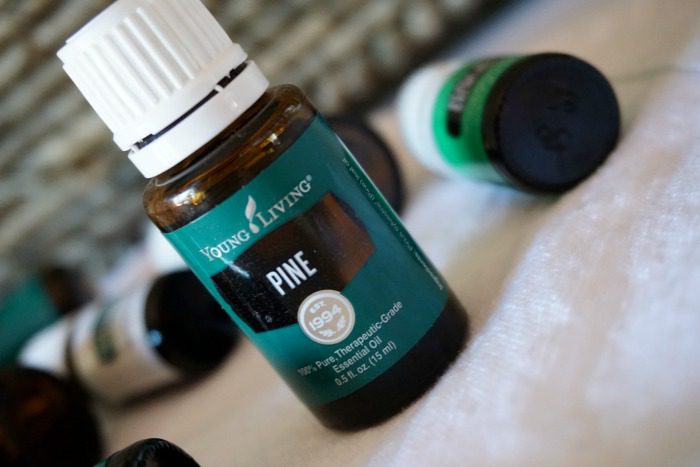 Pine Essential Oil