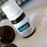 Spearmint Essential Oil