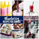 BLUEBERRY RECIPES FOR SUMMER