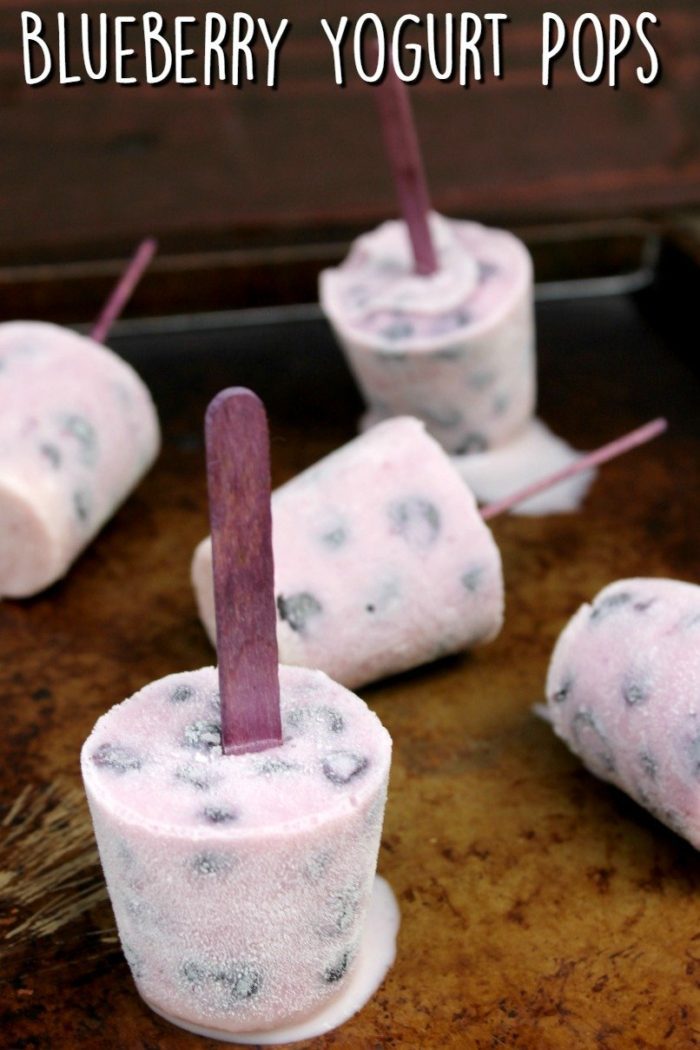 Blueberry-Yogurt-Pops-4