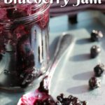 Easy-Instant-Pot-Recipes-Blueberry-Jam-Recipe