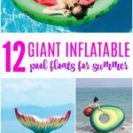 12 Giant Swimming Pool Floats