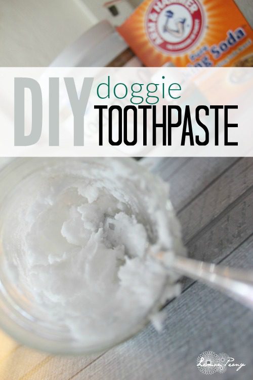 DIY-Doggie-Toothpaste