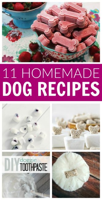DIY Homemade Dog Recipes! Pamper your Puppy Pets with these simple and easy recipes for dog shampoo, snacks, treats, toys, freshener, odor remover, and more!