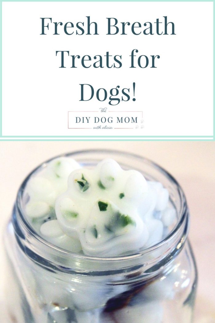 Fresh Breath Dog Treats