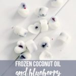 Frozen-Coconut-Oil-and-Blueberry-Dog-Treats-768×1024