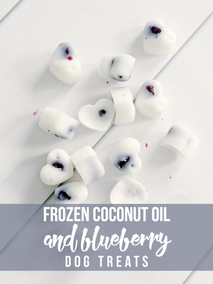 Frozen-Coconut-Oil-and-Blueberry-Dog-Treats-768x1024