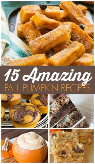 15 Amazing Fall Pumpkin Recipes! I am SO excited for all things fall, pumpkin, and cold weather! These treats, snacks, and desserts are sure to be a favorite!