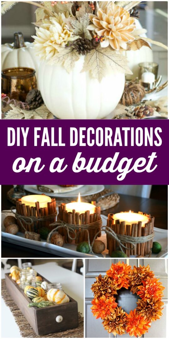 Cheap DIY Fall Decorations on a Budget