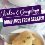 Freezer Chicken and Dumplings