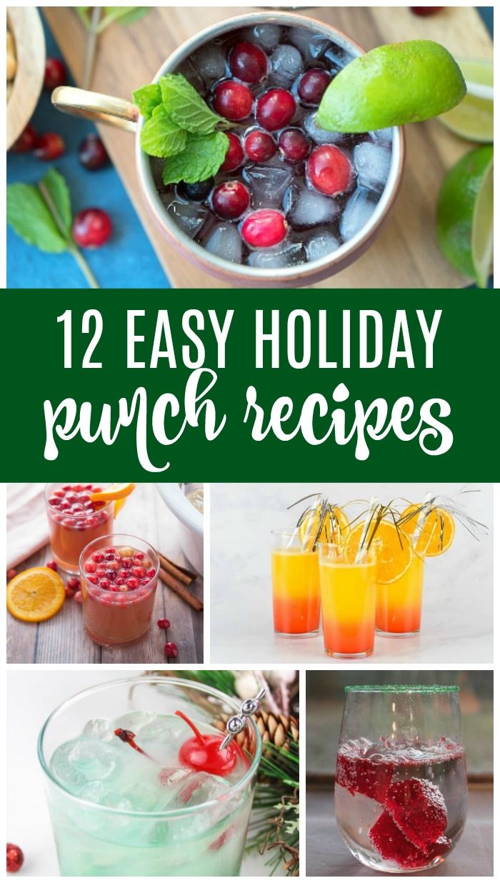 Easy Holiday Punch Recipes for Christmas and New Years! Here are some of my favorite kid-friendly, non-alcoholic Drink Recipes for Holiday Parties!