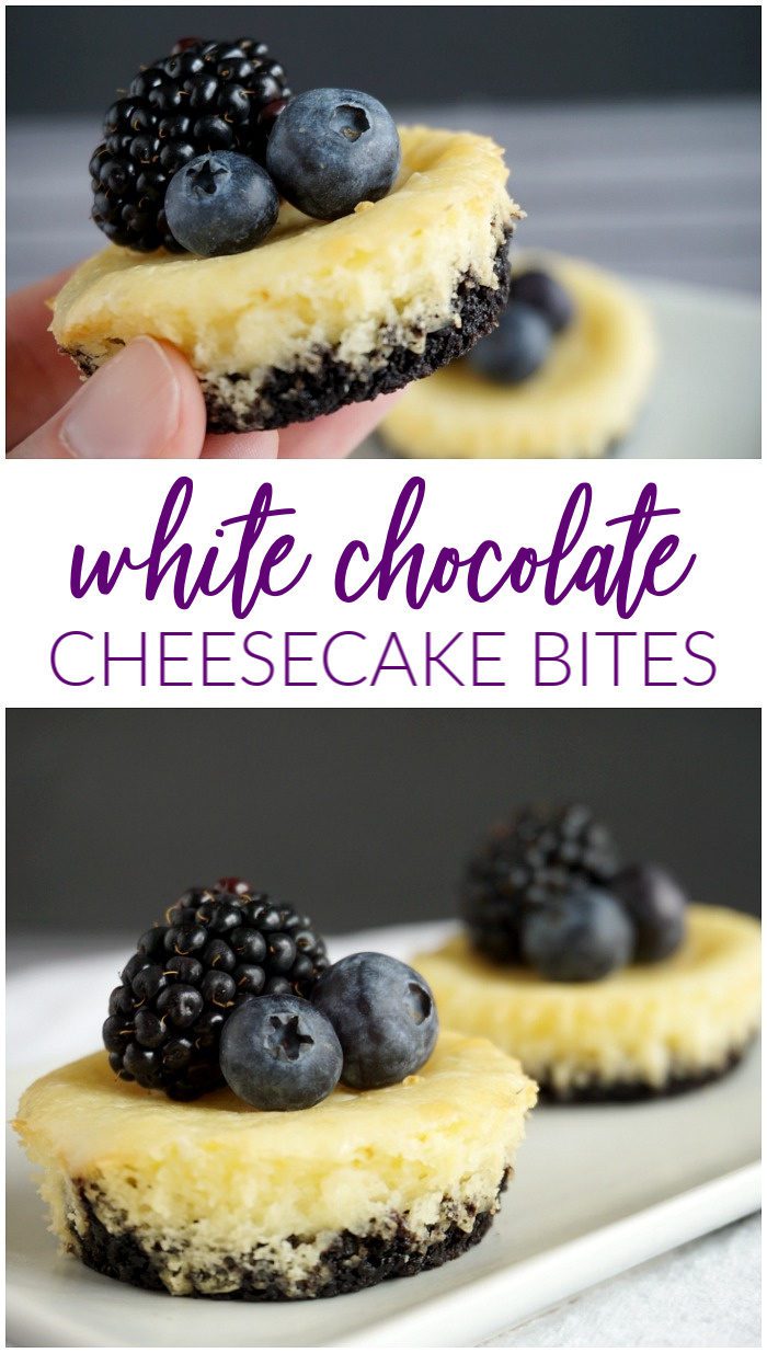 Baked White Chocolate Cheesecake Bites Recipe! These Mini Oreo Crust Cheesecakes are SO good and EASY! The perfect bite-sized appetizer or dessert recipe!