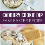 Cadbury Cookie Dip Cream Cheese Recipe