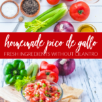 Easy Homemade Pico De Gallo Fresh Ingredients without Cilantro