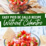 Easy Salsa Recipe Without Cilantro