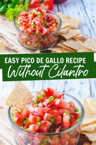 Easy Salsa Recipe Without Cilantro