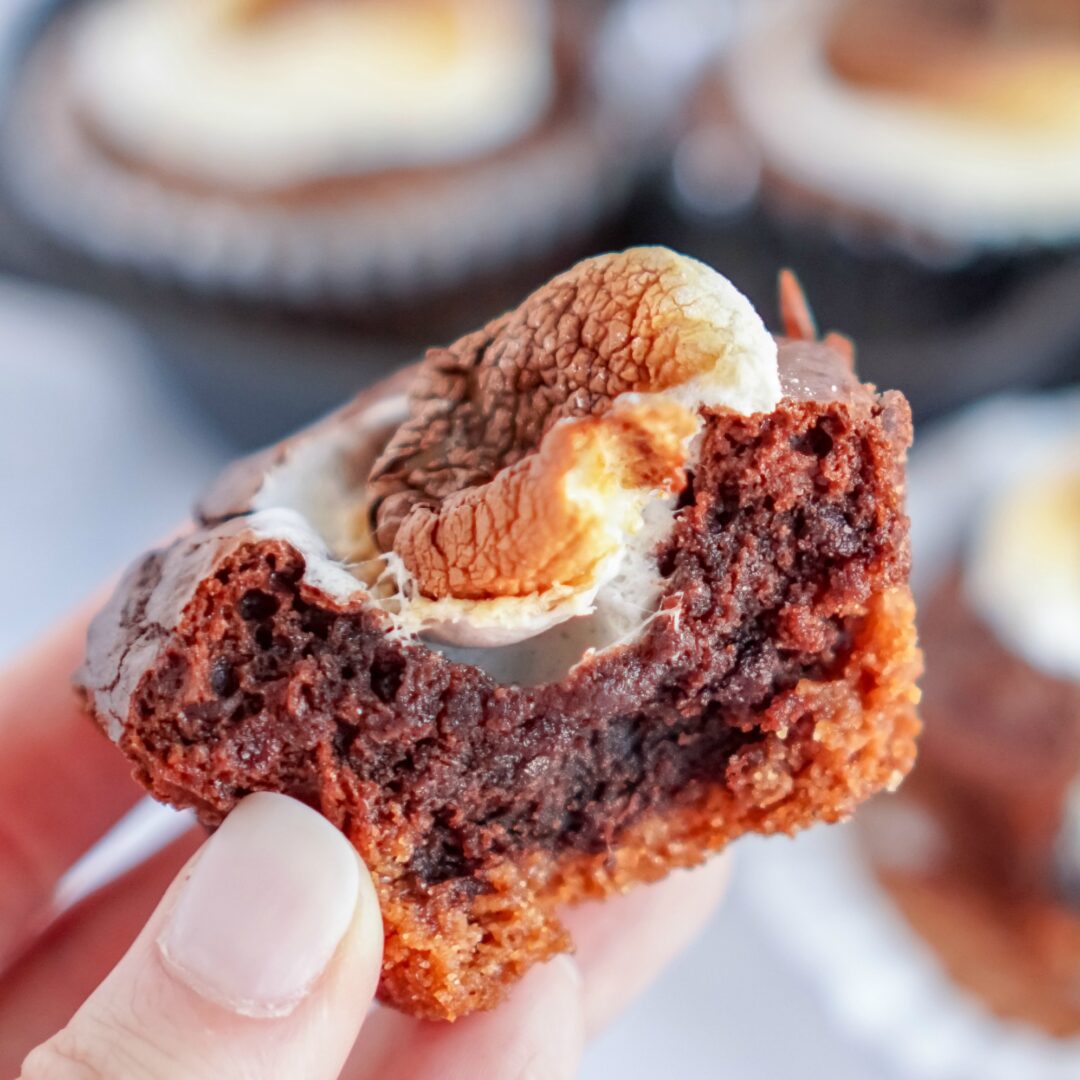 Easy S'mores Brownies Cupcakes Recipe! Lemon Peony