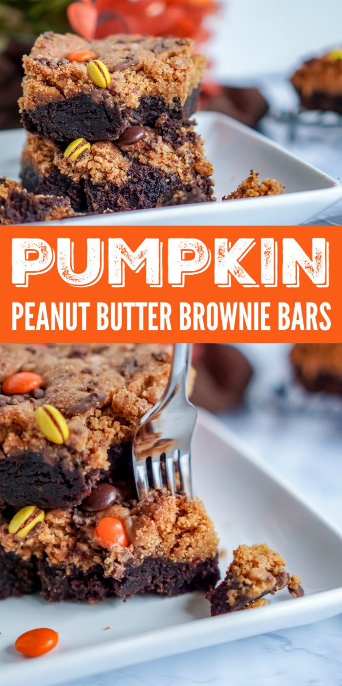 Easy Pumpkin Peanut Butter Brownie Bars Recipe